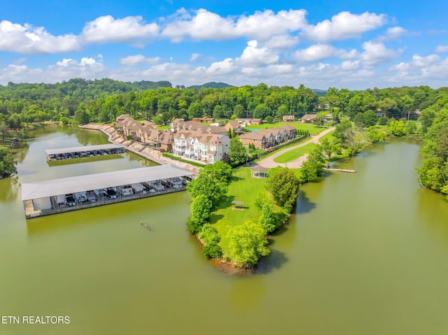 3210 Gazebo Point Way, Knoxville, TN 37920 - aerial view of a forest and a large body of water