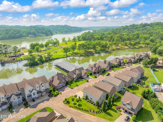 3210 Gazebo Point Way, Knoxville, TN 37920 - aerial view of residential area featuring a nearby body of water and a forest