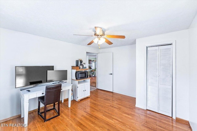 613 Victory St, Knoxville, TN 37919 - office space with a ceiling fan, light wood-style floors, and baseboards