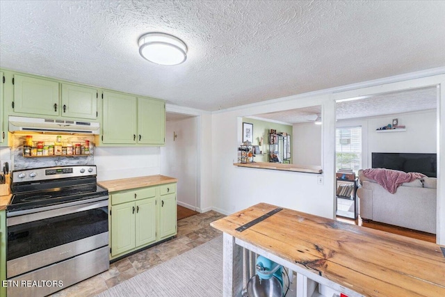 613 Victory St, Knoxville, TN 37919 - kitchen with electric range, green cabinetry, under cabinet range hood, a textured ceiling, and stone finish floors