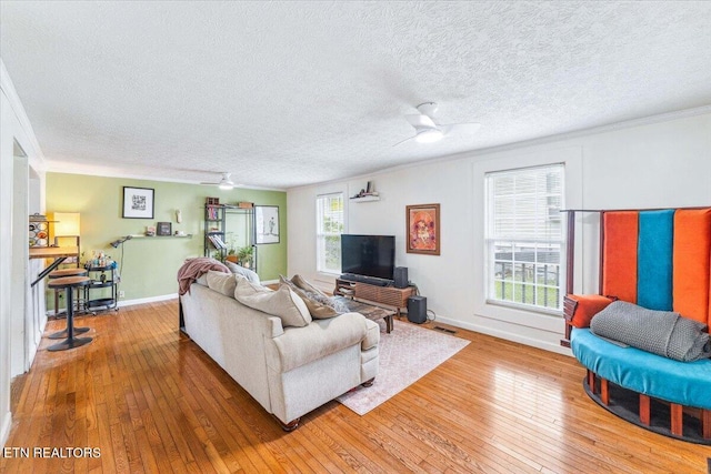 613 Victory St, Knoxville, TN 37919 - living area with ornamental molding, light wood-type flooring, a textured ceiling, a ceiling fan, and baseboards