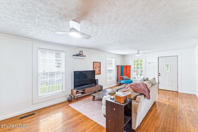613 Victory St, Knoxville, TN 37919 - living area with light wood-style flooring, baseboards, a textured ceiling, a ceiling fan, and ornamental molding