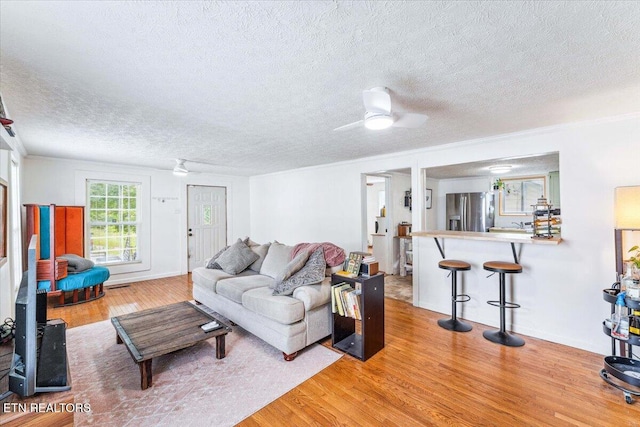 613 Victory St, Knoxville, TN 37919 - living area featuring light wood-style flooring, a textured ceiling, ceiling fan, and crown molding