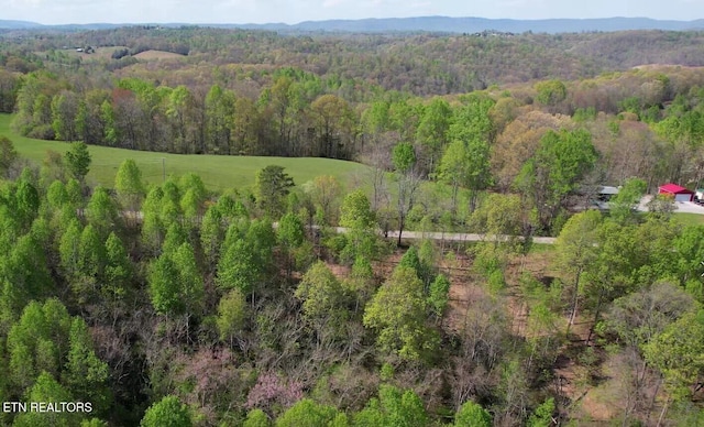 4160 Demory Rd, Lafollette, TN 37766 - photo 5