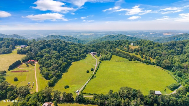 7075 Sinking Creek Rd, Greenback, TN 37742 - photo 47