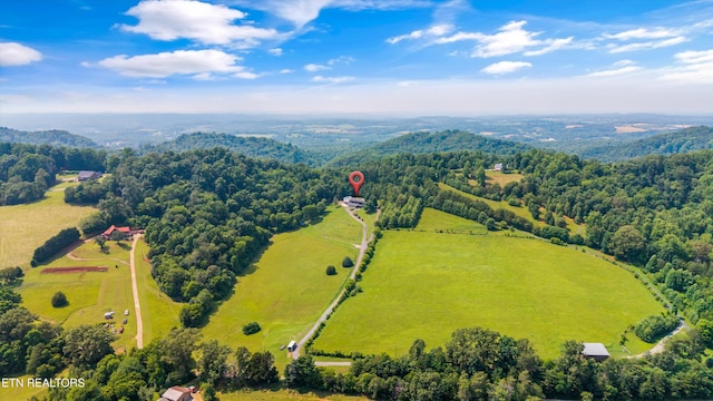 7075 Sinking Creek Rd, Greenback, TN 37742 - photo 48
