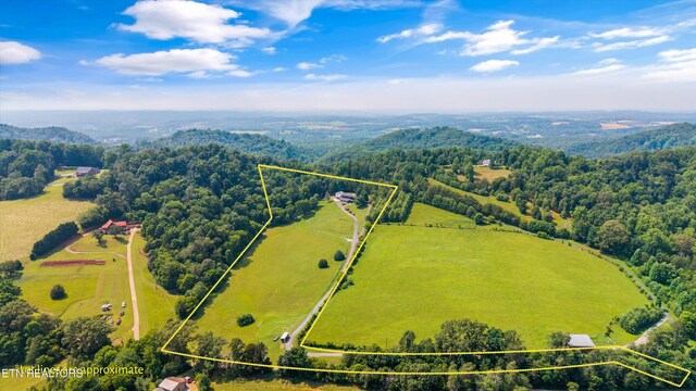 7075 Sinking Creek Rd, Greenback, TN 37742 - photo 49