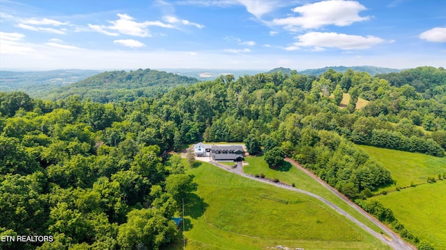 7075 Sinking Creek Rd, Greenback, TN 37742 - photo 50