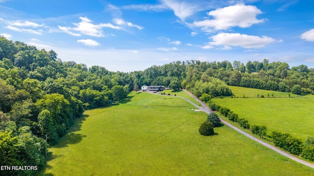 7075 Sinking Creek Rd, Greenback, TN 37742 - photo 52