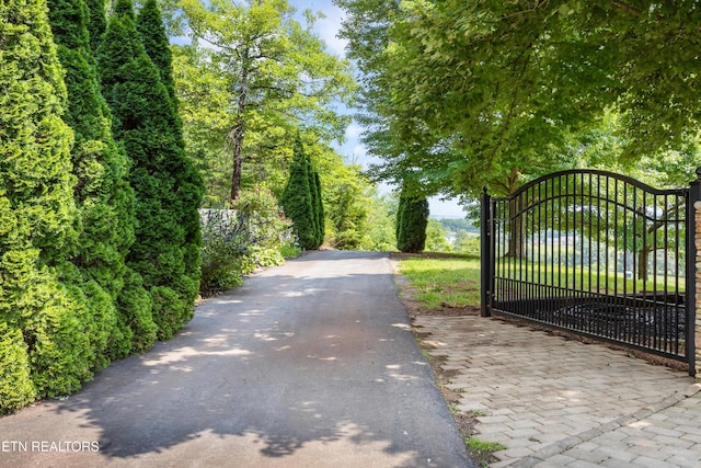 7075 Sinking Creek Rd, Greenback, TN 37742 - photo 6