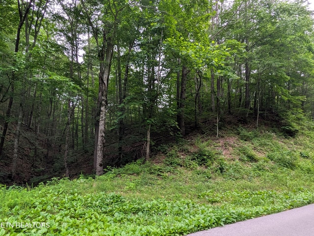 438 Kurts Corner Rd, Townsend, TN 37882 - photo 2