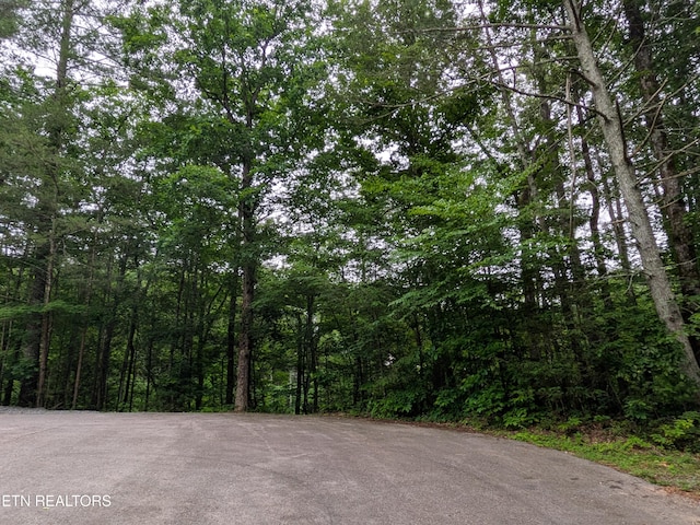 438 Kurts Corner Rd, Townsend, TN 37882 - photo 3