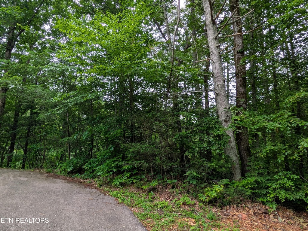 438 Kurts Corner Rd, Townsend, TN 37882 - photo 4