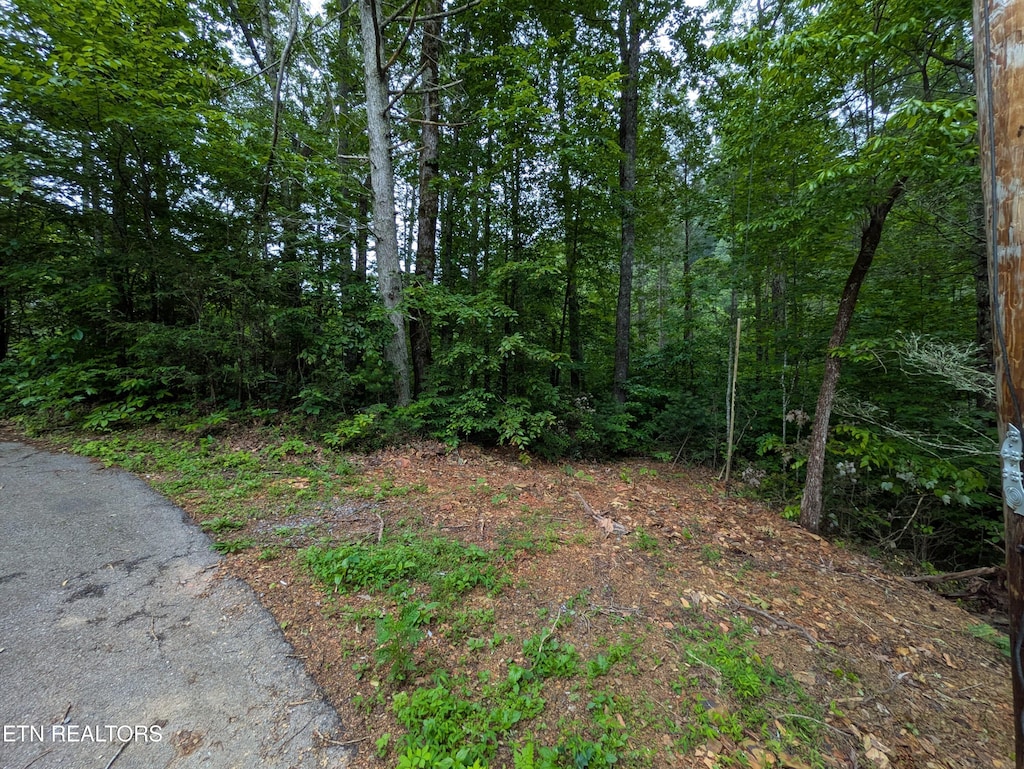 438 Kurts Corner Rd, Townsend, TN 37882 - photo 1