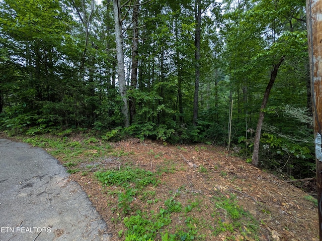 438 Kurts Corner Rd, Townsend, TN 37882 - photo 1