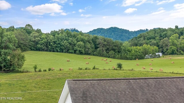 727 Old Store Rd, Madisonville, TN 37354 - photo 38