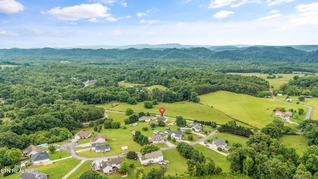 727 Old Store Rd, Madisonville, TN 37354 - photo 47