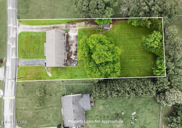321 Sunrise Dr, Kingston, TN 37763 - view of property location with property boundaries highlighted