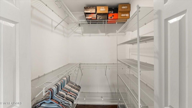 321 Sunrise Dr, Kingston, TN 37763 - view of walk in closet