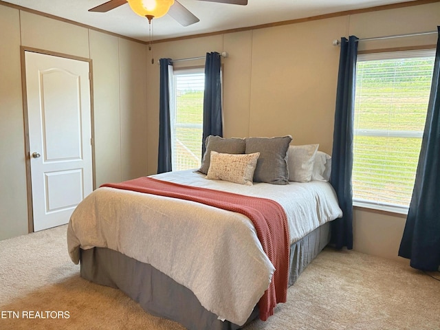 4501 Shipe Rd, Corryton, TN 37721 - carpeted bedroom with ornamental molding, a ceiling fan, and a decorative wall