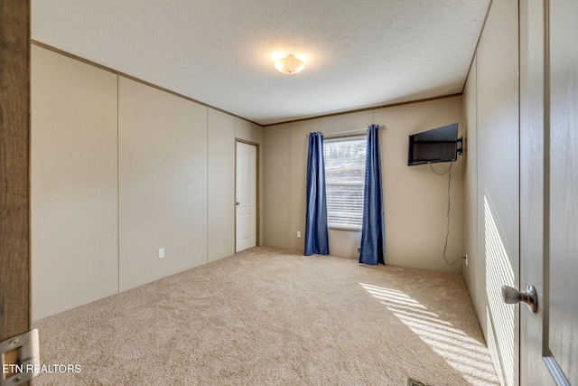 4501 Shipe Rd, Corryton, TN 37721 - unfurnished bedroom featuring crown molding, carpet, a decorative wall, and a textured ceiling