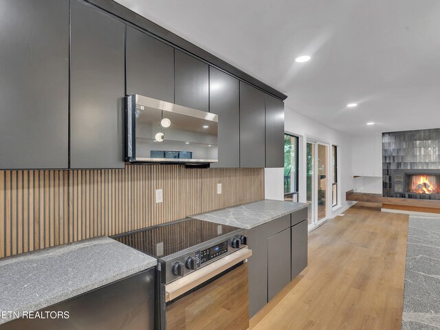 9501 E Aiken Ln, Knoxville, TN 37922 - kitchen featuring appliances with stainless steel finishes, light wood-style flooring, dark cabinetry, a large fireplace, and recessed lighting