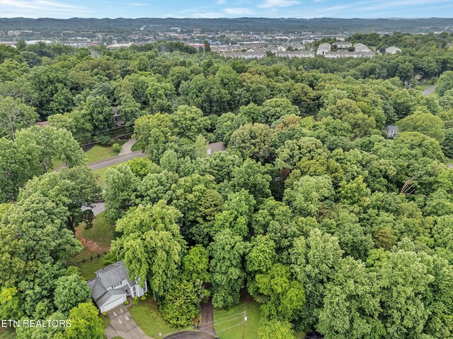 9501 E Aiken Ln, Knoxville, TN 37922 - aerial view of property's location