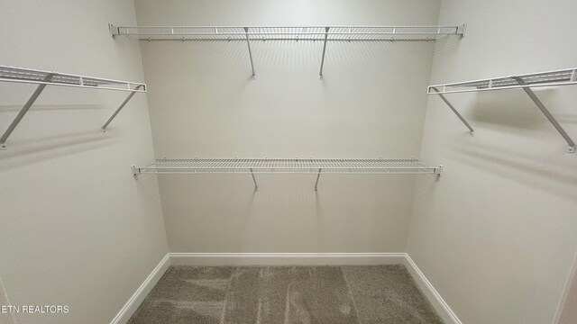 6120 Winter Garden Way, Knoxville, TN 37912 - photo 11