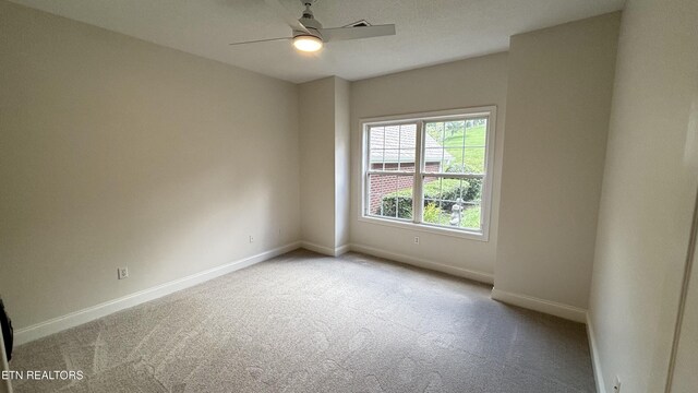 6120 Winter Garden Way, Knoxville, TN 37912 - photo 16