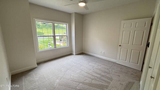 6120 Winter Garden Way, Knoxville, TN 37912 - photo 18