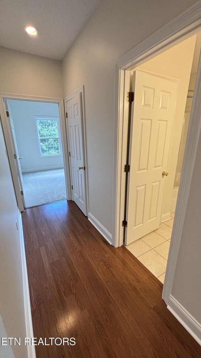 6120 Winter Garden Way, Knoxville, TN 37912 - photo 19