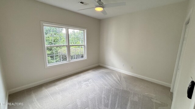 6120 Winter Garden Way, Knoxville, TN 37912 - photo 21