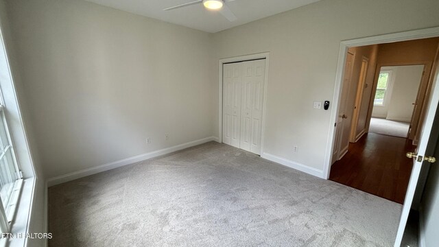 6120 Winter Garden Way, Knoxville, TN 37912 - photo 23