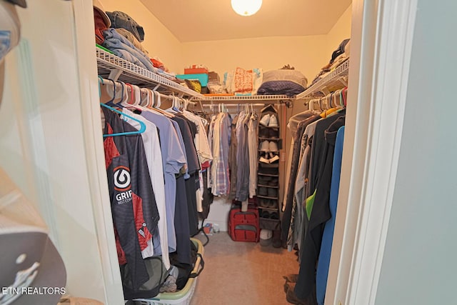 773 Harvest Meadows Dr, Kodak, TN 37764 - spacious closet with carpet