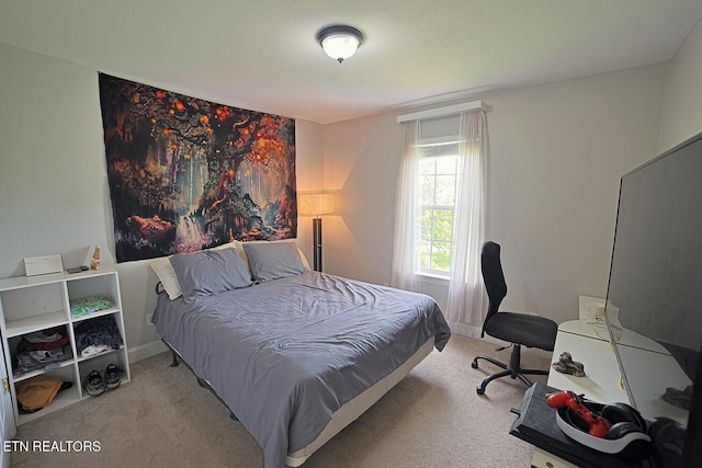 773 Harvest Meadows Dr, Kodak, TN 37764 - bedroom with carpet flooring and baseboards
