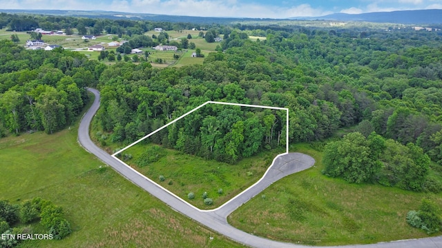 York Cir, Crossville, TN 38558 - photo 1