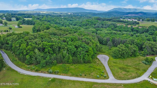 York Cir, Crossville, TN 38558 - photo 4