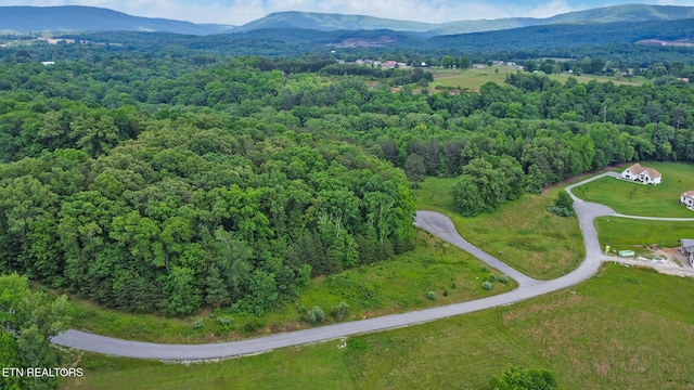 York Cir, Crossville, TN 38558 - photo 5