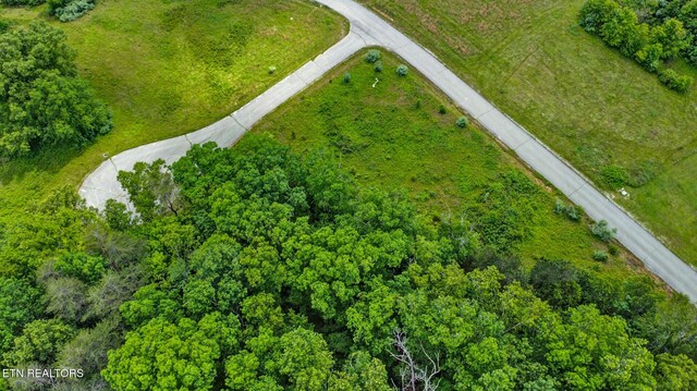 York Cir, Crossville, TN 38558 - photo 9