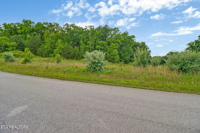 York Cir, Crossville, TN 38558 - photo 11