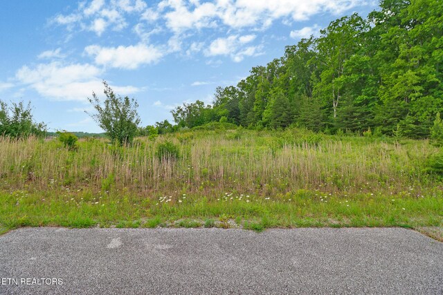 York Cir, Crossville, TN 38558 - photo 12