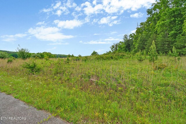 York Cir, Crossville, TN 38558 - photo 13