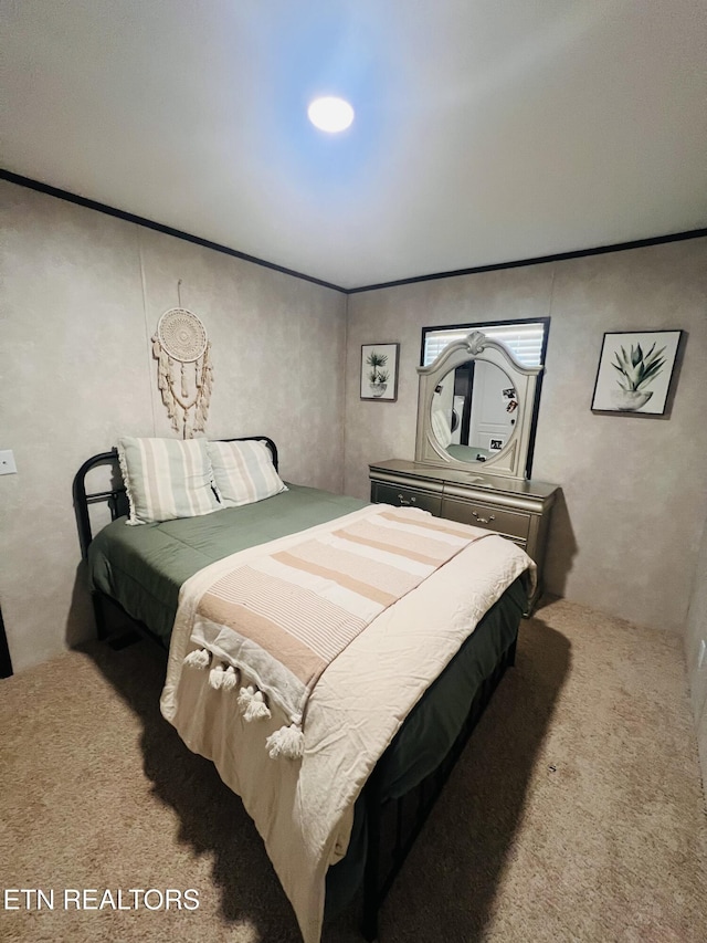 437 Clint Williams Rd, Rutledge, TN 37861 - bedroom featuring carpet floors