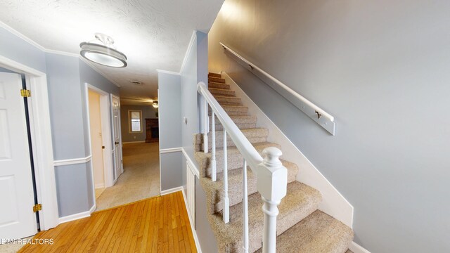 103 Mayfield Dr Unit 5, Elizabethton, TN 37643 - stairway featuring wood finished floors, ornamental molding, and baseboards