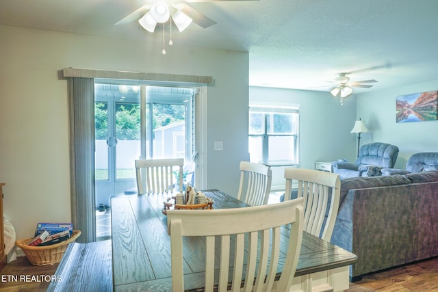 5049 Cottonseed Way, Morristown, TN 37813 - dining room featuring ceiling fan and wood finished floors