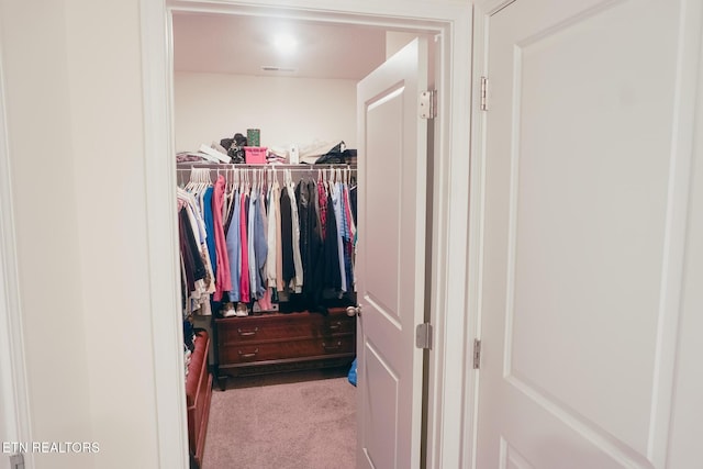 5049 Cottonseed Way, Morristown, TN 37813 - walk in closet featuring carpet