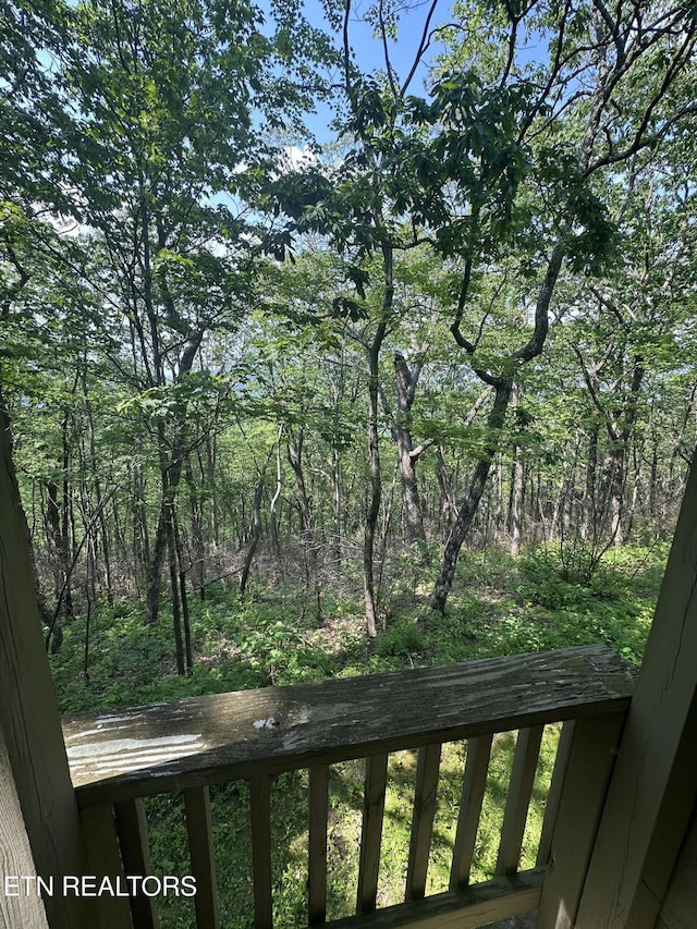 365 Moytoy Rd Unit 103, Crab Orchard, TN 37723 - view of yard