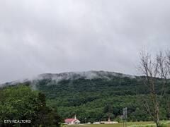 365 Moytoy Rd Unit 103, Crab Orchard, TN 37723 - view of community featuring a mountain view and a view of trees