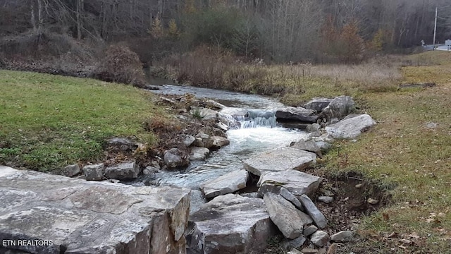 365 Moytoy Rd Unit 103, Crab Orchard, TN 37723 - view of yard with a wooded view