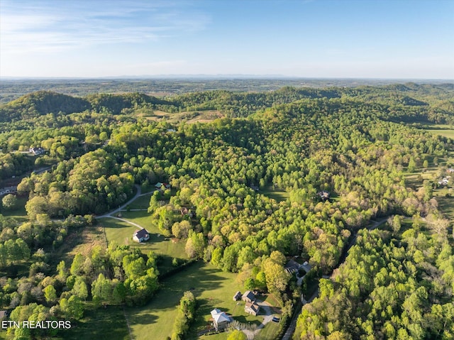 394 Brunner Rd, Sweetwater, TN 37874 - photo 45